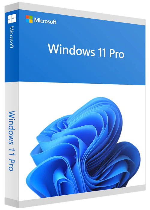 Windows 11 P OEM  — SKU 00003
